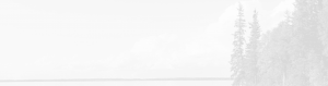 faded image of trees near lake